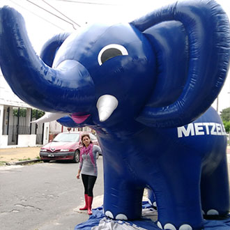 Elefante Metzeler 3,5 mt